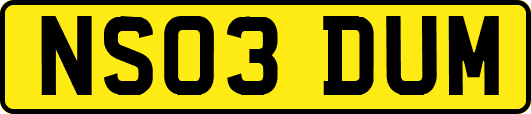 NS03DUM