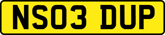 NS03DUP