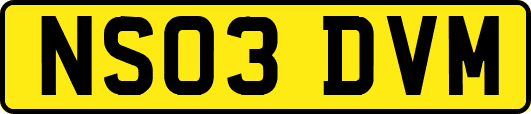 NS03DVM
