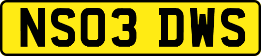 NS03DWS