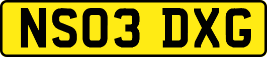 NS03DXG