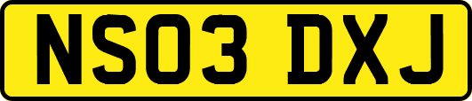 NS03DXJ