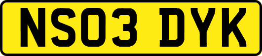 NS03DYK