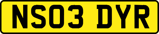 NS03DYR