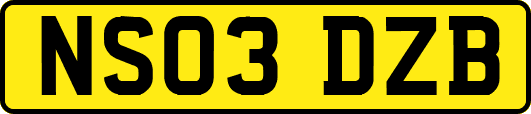 NS03DZB