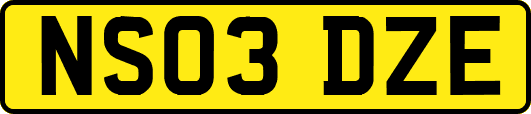 NS03DZE