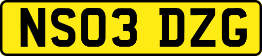 NS03DZG