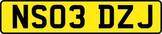 NS03DZJ