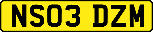 NS03DZM