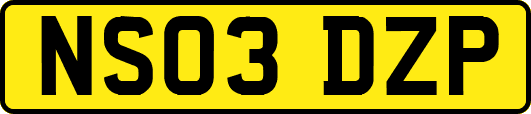 NS03DZP