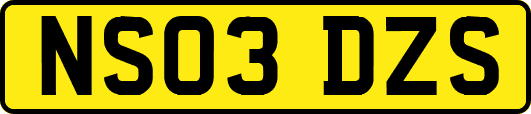 NS03DZS