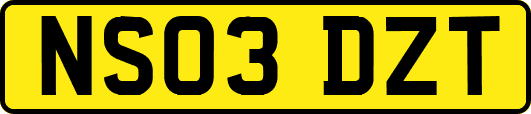 NS03DZT