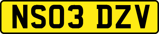 NS03DZV