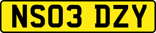 NS03DZY