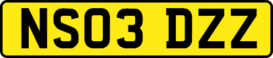 NS03DZZ