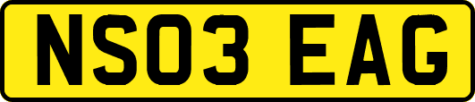 NS03EAG