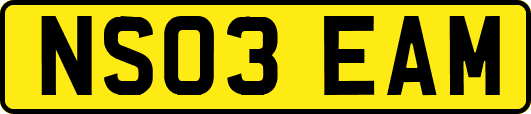NS03EAM