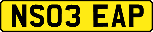 NS03EAP