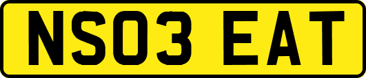 NS03EAT