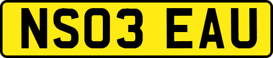 NS03EAU