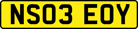 NS03EOY