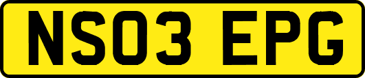 NS03EPG