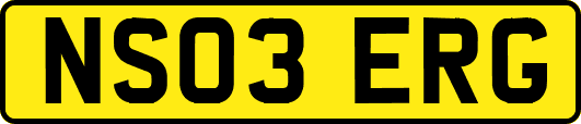 NS03ERG