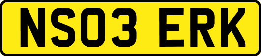 NS03ERK
