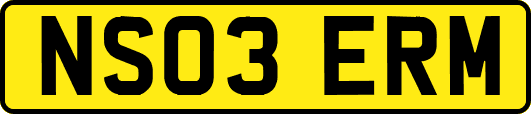 NS03ERM