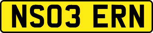 NS03ERN