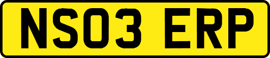 NS03ERP