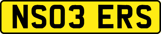 NS03ERS
