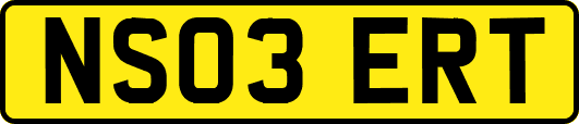 NS03ERT