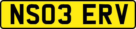 NS03ERV