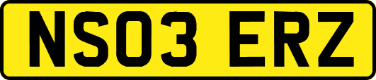 NS03ERZ