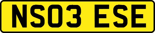 NS03ESE