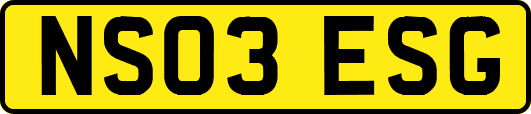 NS03ESG