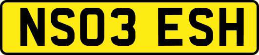 NS03ESH