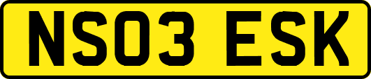 NS03ESK