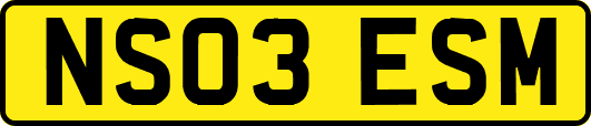 NS03ESM