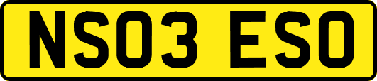 NS03ESO