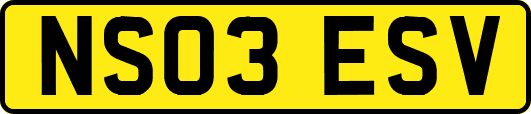 NS03ESV