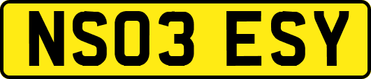 NS03ESY