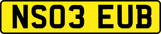 NS03EUB