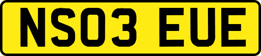 NS03EUE