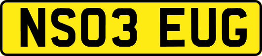 NS03EUG