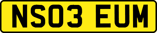 NS03EUM