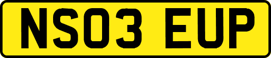 NS03EUP
