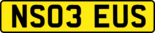 NS03EUS