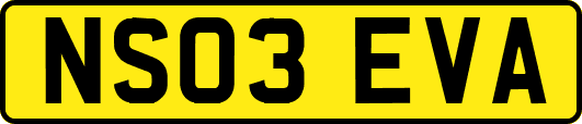NS03EVA